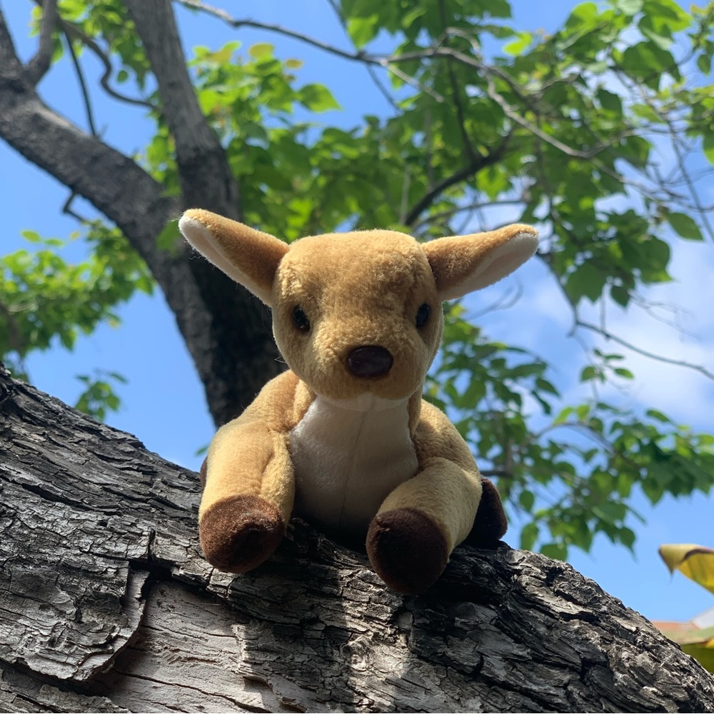 Ty Whisper Deer Beanie Baby #6